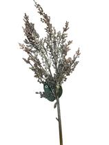 Galho berries lavanda outono