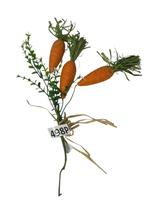 Galho c/ 3 Cenouras M