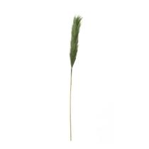 Galho Capim Pampas Decoração Boho Verde Verde 86 cm Galho Capim Pampas Decoração Boho Verde Verde 86 cm
