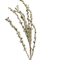 Galho Decorativo Dourado E Glitter Tok Da Casa-Pç