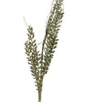 Galho Decorativo Verde Claro E Glitter Tok Da Casa-Pç