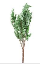 Galho Eucalipto Verde 10X37X44cm