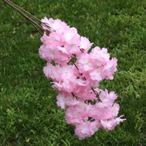 Galho Flor de cerejeira planta artificial Decoração Casa - ying g