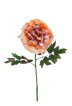 Galho Flor Peonia GD Palha Envelhecido 68cm