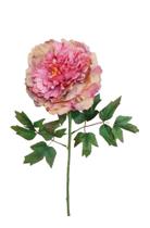 Galho Flor Peonia GD Rose Envelhecido 68cm