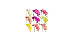 Galho Orquídea Artificial Branco Tipo Toque Real Flores Galho Orquídea Artificial Branco Tipo Toque Real Flores