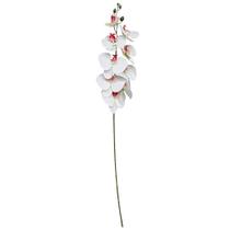 Galho Orquídea Branca 9 Flores Realistas Toque Real Premium Haste 95cm - Vivaflor Decor
