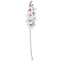 Galho Orquídea Branca 9 Flores Realistas Toque Real Premium Haste 95cm - Vivaflor Decor Galho Orquídea Branca 9 Flores Realistas Toque Real Premium Haste 95cm - Vivaflor Decor