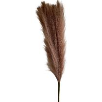 Galho Pampa Permanente - 45cm - Bege - 1 unidade - Rizzo Galho Pampa Permanente - 45cm - Bege - 1 unidade - Rizzo