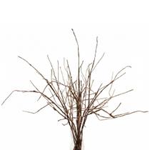 Galhos artificiais de salgueiro encaracolado, 10 peças, palitos decorativos de 66 cm Galhos artificiais de salgueiro encaracolado, 10 peças, palitos decorativos de 66 cm