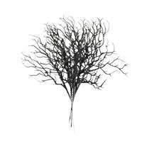 Galhos Artificiais Pretos De Halloween 10 Peças Não Desbotam Formato De Chifres De Plástico