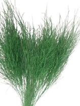 Galhos Aspargo Verde Com Purpurina 6 Uni Decoração Enfeite - Stop Flores