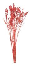 Galhos Coroinha Vermelho Decoração Enfeite Ornamentação - Stop Flores