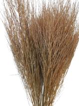 Galhos De Aspargo Natural Decoração Arranjos Enfeite - Stop Flores