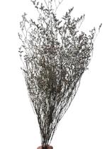 Galhos De Caspia Natural Seca Decoração Enfeite - Stop Flores