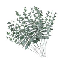 Galhos De Folhas De Eucalipto Artificial Verde 10 50PCS Para Decoração De Casamento, Casa, Jardim,
