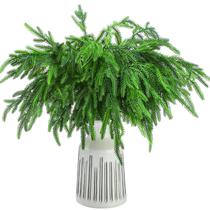 Galhos de Natal artificiais Jutom Norfolk Pine x30 (45cm)