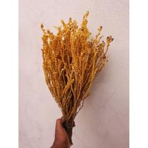 Galhos dourados, 1 buquê grande de Galhos desidratados na cor natural