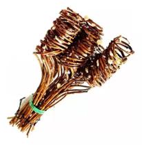 Galhos Secos Enrolados Vime Vine Arranjo Desidratado Buque