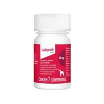 Galliprant 60 mg Elanco para Cães - 7 Comprimidos