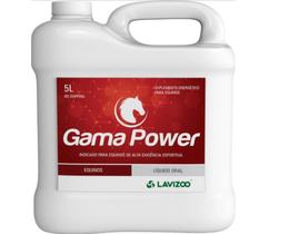 Gama Power 5 L Massa Muscular, Definição E Força - Lavizoo Gama Power 5 L Massa Muscular, Definição E Força - Lavizoo