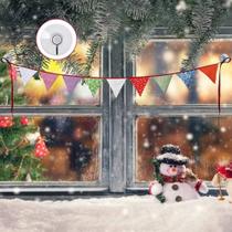 Gancho Inox para Parede 24 Unidades com Fixação por Ventosa, Sem Furo e Enfeites