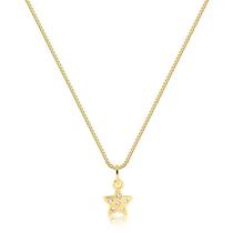 Gargantilha 40cm + 5cm De Extensor Estrela Com Pedras Gargantilha 40cm + 5cm De Extensor Estrela Com Pedras