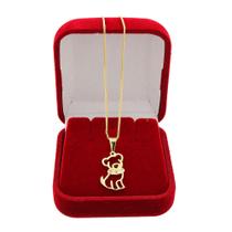 Gargantilha pingente Pet cachorro com pedra Folheado Ouro