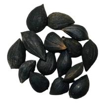 Garra De Exú Para Assentamento E Ritual Garra De Exú Para Assentamento E Ritual