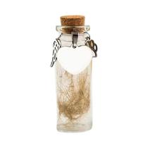 Garrafa Memorial Para Pelos De Animais De Estimação (Cães E Gatos) Com 3 Acessórios Prateados Urna