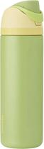 Garrafa Owala Freesip Original Inox 710ml 24oz Pronta Entreg Disney Princess Tiana