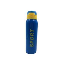 Garrafa Sport Squeeze Térmica Aço Inox Esportiva 500ml