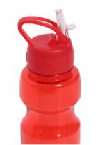 Garrafa Squeeze 700Ml com tubo de gelo e canudo Livre de BPA