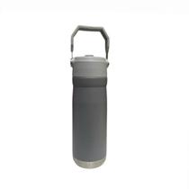 Garrafa Térmica 650 ML Parede Dupla Em Inox e Bico Flip C/ Canudo