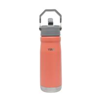 Garrafa Térmica Essential Aço Inox 650ml Squeeze Esportiva Garrafa Térmica Essential Aço Inox 650ml Squeeze Esportiva