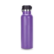 Garrafa Térmica Inox Tampa Alça Esporte Academia 500ml