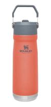 Garrafa Térmica Stanley Inox Flip Straw 651mL Rosa Guava Garrafa Térmica Stanley Inox Flip Straw 651mL Rosa Guava