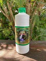 Garrafada Concentrado de plantas medicinais 500ml