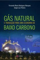 Gás Natural e Transição Para Uma Economia de Baixo Carbono