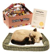 Gatinho Gato Filhote Pelúcia Perfect Petzzz Respira Siamês