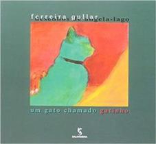 Gato chamado gatinho, um - Moderna - Paradidatico