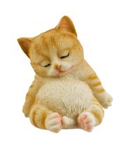 Gato Filhote Fofo Sentado Dormindo 13cm - Enfeite Decorativo Resina