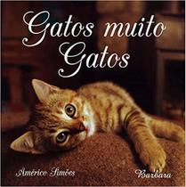 Gatos Muito Gatos - BÁRBARA EDITORA