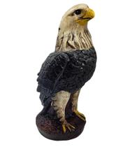 Gavião Águia Gesso Decoração Casa Chácara Sítio Time Gavião Águia Gesso Decoração Casa Chácara Sítio Time