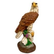 Gavião Águia Gesso Espanta Pomba Passarinho Decoração Casa Chácara Sítio Gavião Águia Gesso Espanta Pomba Passarinho Decoração Casa Chácara Sítio