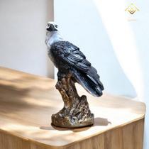 Gavião Anti Pombos Passaros Pardal Maritaca Repelente Natural e Eficiente - AVB DECOR Gavião Anti Pombos Passaros Pardal Maritaca Repelente Natural e Eficiente - AVB DECOR