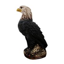 Gavião Espanta Pombo e Passarinho Decoração Jardim - Várias Variedades Gavião Espanta Pombo e Passarinho Decoração Jardim - Várias Variedades