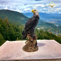 Gavião Espanta Pombo E Passarinho Grande 52 Cm Pronta Entrega - AVB DECORACÕES