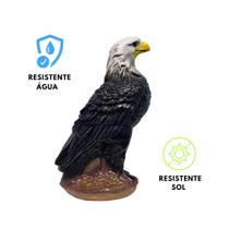 Gavião Espanta Pombo E Passarinhos 36 Cm Em Gesso - AVB DECORAÇÕES Gavião Espanta Pombo E Passarinhos 36 Cm Em Gesso - AVB DECORAÇÕES