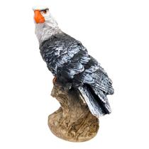 Gavião no Tronco Pequeno em Resina 22cm Decorativo Águia Asa Fechada Gavião no Tronco Pequeno em Resina 22cm Decorativo Águia Asa Fechada